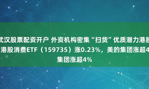武汉股票配资开户 外资机构密集“扫货”优质潜力港股，港股消费ETF（159735）涨0.23%，美的集团涨超4%