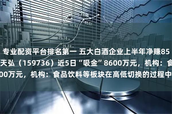 专业配资平台排名第一 五大白酒企业上半年净赚850亿元，食品饮料ETF天弘（159736）近5日“吸金”8600万元，机构：食品饮料等板块在高低切换的过程中有反弹需求