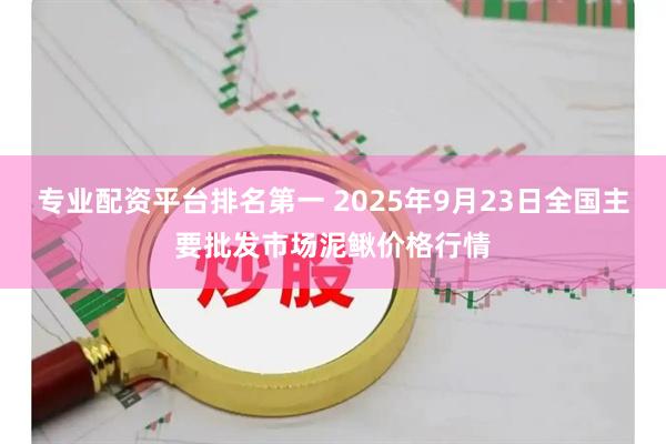 专业配资平台排名第一 2025年9月23日全国主要批发市场泥鳅价格行情