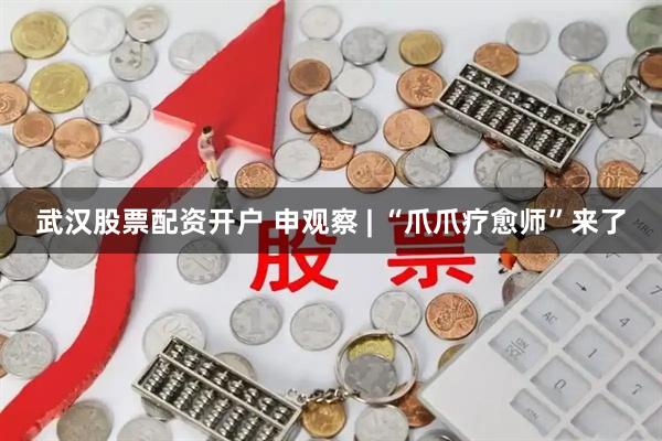 武汉股票配资开户 申观察 | “爪爪疗愈师”来了