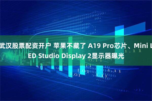 武汉股票配资开户 苹果不藏了 A19 Pro芯片、Mini LED Studio Display 2显示器曝光