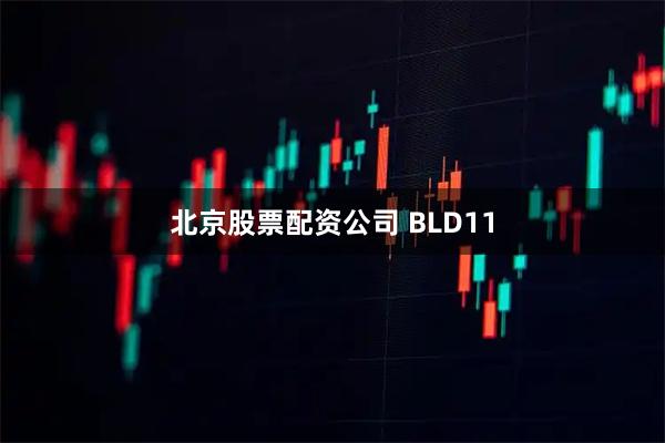 北京股票配资公司 BLD11