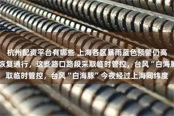 杭州配资平台有哪些 上海各区暴雨蓝色预警仍高挂！长江大桥东海大桥恢复通行，这些路口路段采取临时管控，台风“白海豚”今夜经过上海同纬度